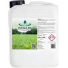 acquaverde ECO Herb 80% Acido Acetico 80% Concentrato 5 L Azione Erbicida Rapida Effetto