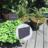 1 Set Etichette da giardinaggio in ardesia Etichette per piante rettangolari