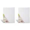 HOBBY & PROFESSIONAL PRIMO Hobby & Professional- Tela per Dipingere in Cartoncino 30x40x0,4 100% Cotone, Cartone Telato Pittura Colori Acrilici Olio Acquerelli - Tele per Dipingere Hobby Creativi Acid Free non Ingiallisce