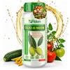 Olio Di Neem Solubile per Piante Da Olio Di Neem Puro Biologico 250Ml Concentrat