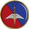 Giftshop UK Francese Speciale Forze (Brigade Des Forze Spéciales Terre ) Bfst. Spilla