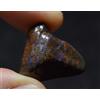 Opale Boulder Pepita 9,5 Grammi - Natural Boulder Opal Nugget Tumblestone
