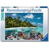 Ravensburger Puzzle 2000 Pezzi Un tuffo alle Maldive Puzzle Adulti + TgUC