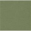 Zweigart Agave Green (6018) Zweigart Tela Velluto Edinburgh in Lino 36 Fili