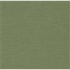 Zweigart Agave Green (6018) Zweigart Tela Velluto Edinburgh in Lino 36 Fili