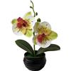 Fiore Artificiale Stile Phalaenopsis con Vaso a Righe Nero per Decorazione Libre