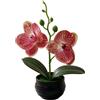 Fiore Artificiale Stile Phalaenopsis con Vaso a Righe Nero per Decorazione Libre