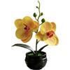 Fiore Artificiale Stile Phalaenopsis con Vaso a Righe Nero per Decorazione Libre