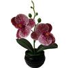 Fiore Artificiale Stile Phalaenopsis con Vaso a Righe Nero per Decorazione Libre