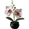 Fiore Artificiale Stile Phalaenopsis con Vaso a Righe Nero per Decorazione Libre