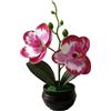 Fiore Artificiale Stile Phalaenopsis con Vaso a Righe Nero per Decorazione Libre