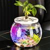 Fish Tank Fish Bowl centrotavola trasparente fai da te micro paesaggio acquario