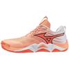 Mizuno Nuove scarpe da pallavolo Mizuno Wave Momentum Elite V1GA2512 80