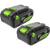 Greenworks TwinPack 24V 4Ah Batteria Ricaricabile ad Alta Potenza USB-C Batteria Li-Ion Compatibile con Tutti gli oltre 200 Dispositivi Greenworks 24V, 2 anni di garanzia - K2D8NNA