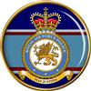 Giftshop UK Reale Air Force Police Spilla