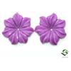 SBI Gems Coppia Di Intagli In Fosfosiderite Naturale 24X24 Mm 26,63 CTS Pietre Preziose