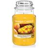Yankee Candle Giara Grande Salsa Di Mango Pesca Candela Profumata Fino a 150 Ore
