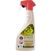 CISA ADRIATICA OLIO DI NEEM SPRAY CISA 500 ML per Orto Frutti contro Cocciniglia Afidi Pidocchi