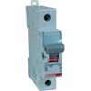 BTicino Spa Bticino f71n/32n interruttore sezionatore 1p 32a 1mod n/acc 230ac