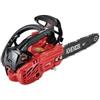 EXCEL Motosega Scoppio 25,4 cc per Potatura Barra 25 cm Leggera Excel