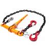 Dolezych Catena di ancoraggio di grado 80 con raccoglitore a cricchetto Dora, 2 ganci a forcella, catena da 10 mm, capacità di ancoraggio diretto = 6300 dan, lunghezza 3,50 m