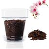 Kalapanta Kit per Rinvasare Le Orchidee 1 Vaso Trasparente Ø 16cm con Fori Drenaggio 1