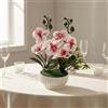 Orchidea in Vaso Finta a Coste Orchidea Finta Realistica Alta 25 Cm per Stanza