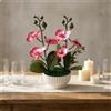 Orchidea in Vaso Finta a Coste Orchidea Finta Realistica Alta 25 Cm per Stanza