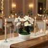 Orchidea in Vaso Finta a Coste Orchidea Finta Realistica Alta 25 Cm per Stanza