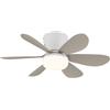 Globo Ventilatore Da Soffitto Delores Globo Con LED Dimmer E Telecomando, 51 cm