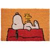 Grupo Erik Zerbino Snoopy Peanuts - Zerbino Ingresso Esterno Cocco D vOA1