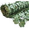 Windhager Ahornoca 06493 - Siepe frangivento per balcone, patio, recinzione, 100 x 300 cm, colore: verde