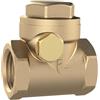 RIEGLER RK1MSNBRE - Valvola di non ritorno, DN 25, in ottone rosso, G 1, PN max. 16 Bar