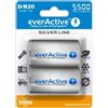 EVERACTIVE 2X EverActive D R20 Batterie Alcaline 1.5V Silver Line 5500mAh