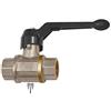 Riegler 103255 Valvola a sfera di sicurezza non bloccabile, foro di sfiato, Rp 1/2
