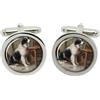 Family-crests Der Liebling (Cane) Da Carl Reichert Gemelli IN Cromo Scatola