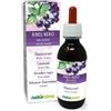 Naturalma Ribes nero (Ribes nigrum) foglie e frutti Tintura Madre analcoolica Naturalma -