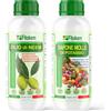 Fitokem Sapone Molle di Potassio 1lt e Olio di Neem 1lt Kit Protezione Piante
