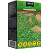 Semillas Batlle Dichondra Repens KIfh