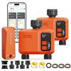 XinFuture 2 Pezzi Centralina Irrigazione WiFi 2 uscite con 300 metri RF Timer Irrigazione