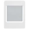 No 2X(Scheda di Sviluppo AIoT - da 1,54 Pollici con Display e-, Colori 9500