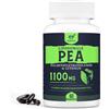 Solavica PEA Liposomiale 1100mg - Palmitoiletanolamide Micronizzata con Luteolina (Confez