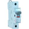 BTicino Spa Bticino f71n63 Btdin - sezionatore 1p 63a