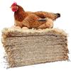 No di Nidificazione per Galline Ovaiole di Alta Qualità, Tappetino Q6715