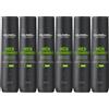 Goldwell Dualsenses men Anti-dandruff shampoo 300mlX6