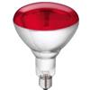 PHILIPS Lampada Infrarossi IR 250W E27 230-250V IR 250 RH, Lampadina IR 250W E27