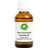 R V Essential Olio Di Semi Di Carota Daucus Carota