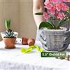 not specified 8 vasi per orchidee trasparenti per piante piccole e medie con ottima ventilazio