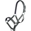 HKM Stars- morbida imbottitura Capezza Verde Pony