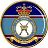 Giftshop UK Reale Air Force Regiment Spilla